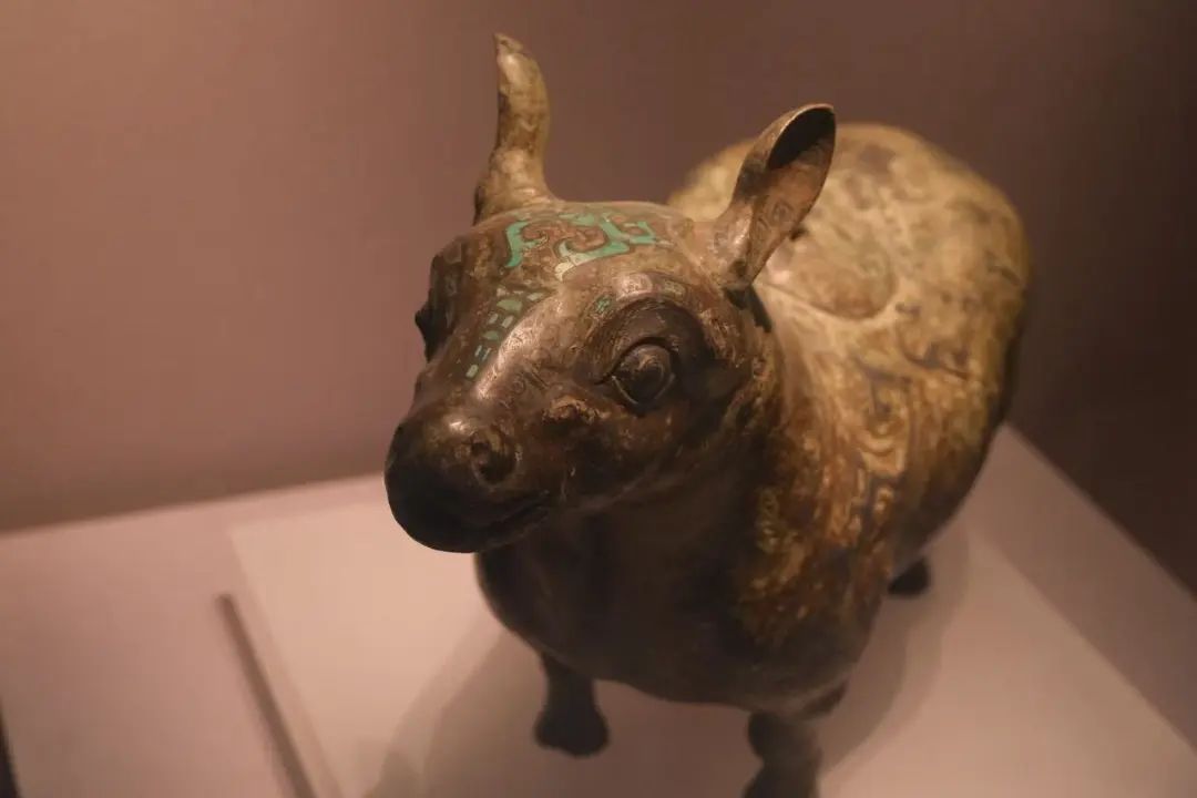 3研学13.jpg